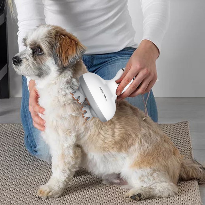 Wireless Waterproof Electric H - Hair Scalp Massager reseña y precio