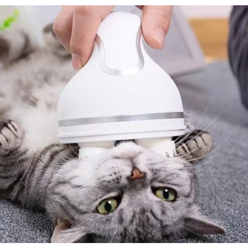 Cat Smart Automatic Silicone R - Hair Scalp Massager reseña y precio